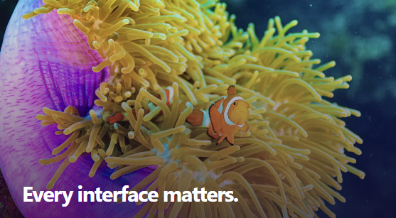 Clownfish sheltering in a sea anemone — every interface matters