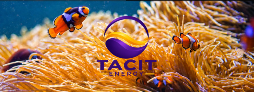 TACIT Energy emblem surrounded by clownfish and a golden sea anemone
